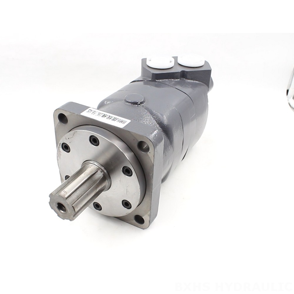 BM6 Cycloid Hydraulic Motor: Partnership Opportunities for Global Distributors image